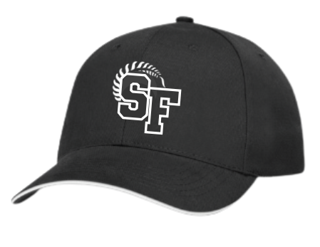 Silver Fern apparel cap - black